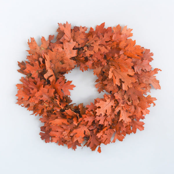 Fall Wreath | Autumn Wreath | Oak Leaf Wreath for Fall | Fall Colored Oak Wreath for Autumn | Red Oak Wreath | Fall Door Wreath | Preserved Oak Wreath | Dried Oak Wreath