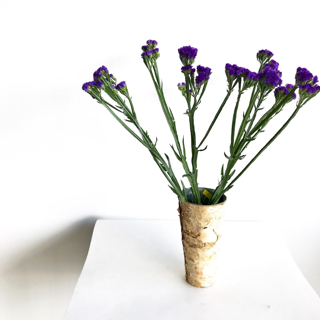 Wholesale Flowers | Statice for Wholesale | Purple Statice | Lavender Statice | Sea Lavender Bloom
