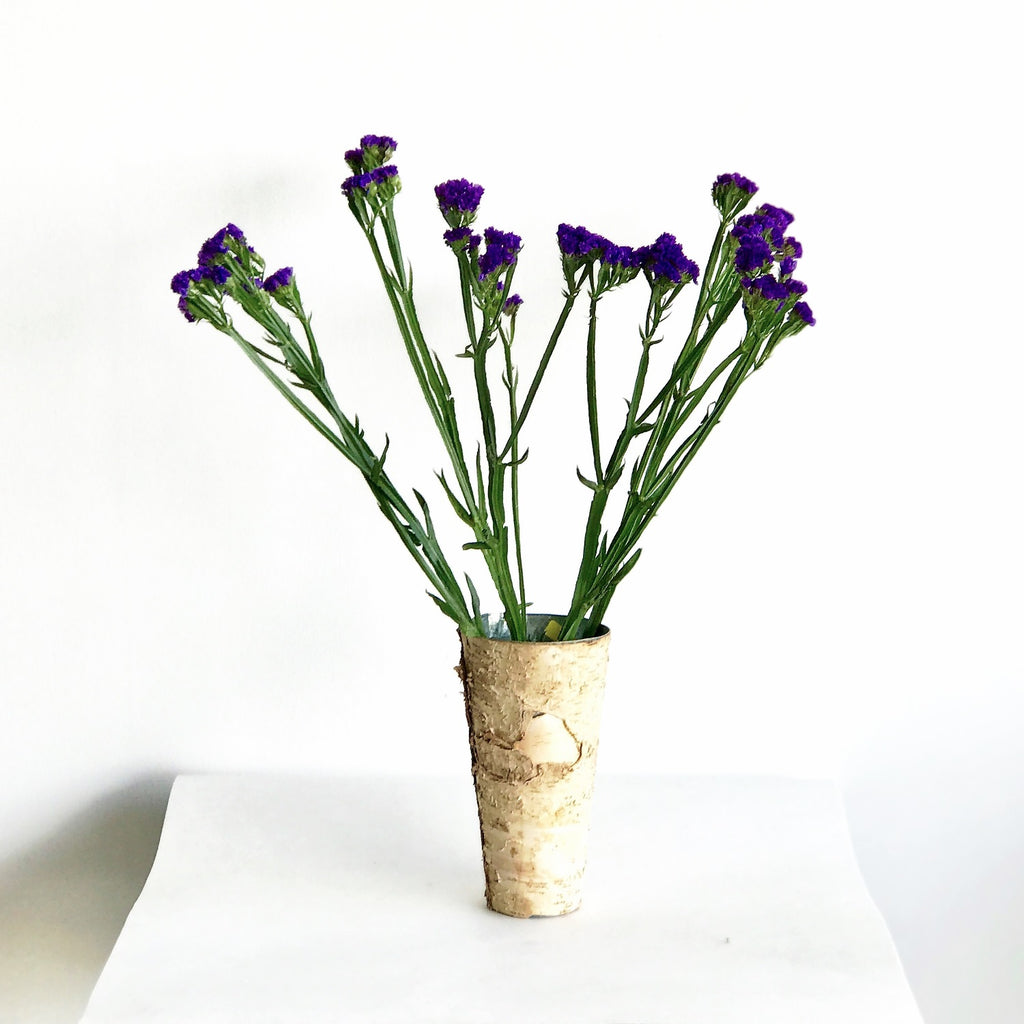 Purple Statice for Sale | Purple Flowers Wholesale | Purple Flower Blooms 