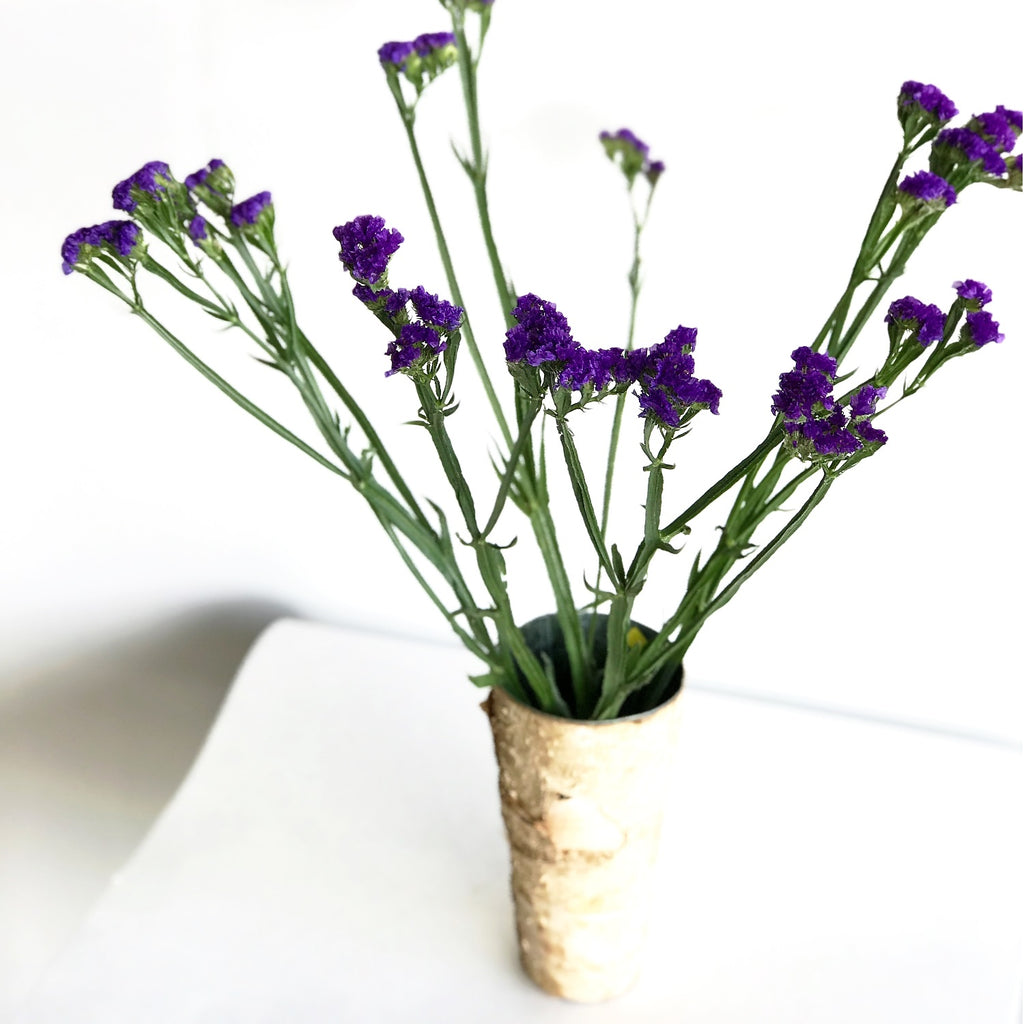 Sea Lavender for Sale | Statice Wholesale | Buy Flowers in Bulk | Violet Flowers | Violet Blooms