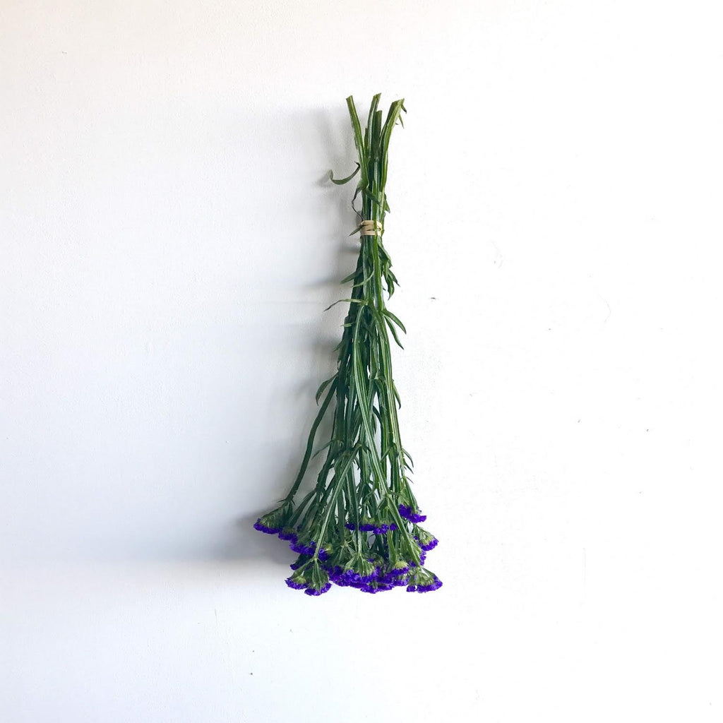 Purple Statice Bunch | Club Botanic | Violet Statice Bunch | Bunch of Statice | Bunch of Purple Statice | Bunch of Violet Statice | Statice Stems | Purple Statice Stems | Violet Statice Stems 